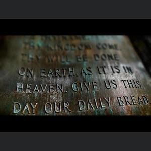 Meet your Posher, Daisy